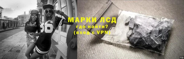 стафф Бородино