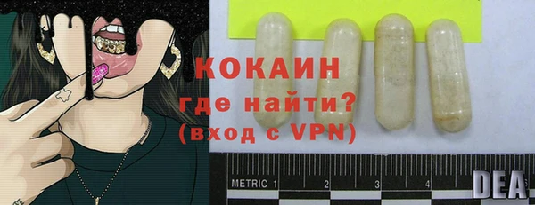 стафф Бородино
