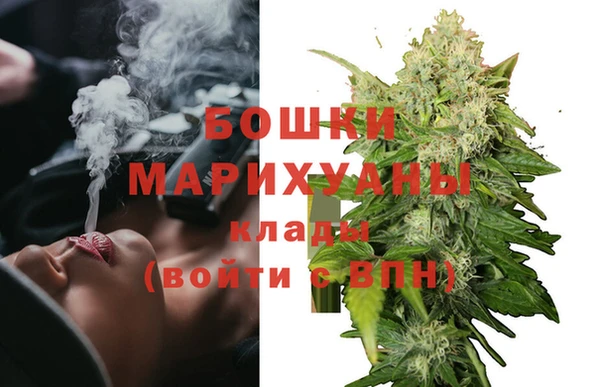 стафф Бородино