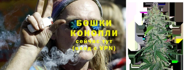 стафф Бородино