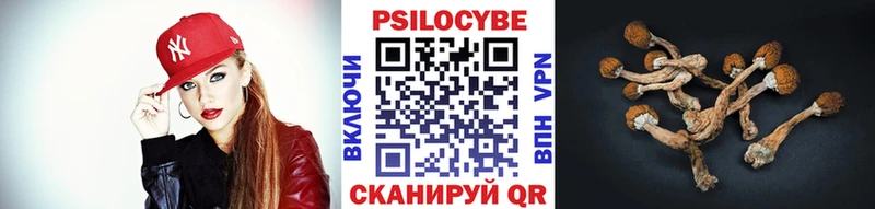 Купить где  Гдов  Галлюциногенные грибы MAGIC MUSHROOMS 